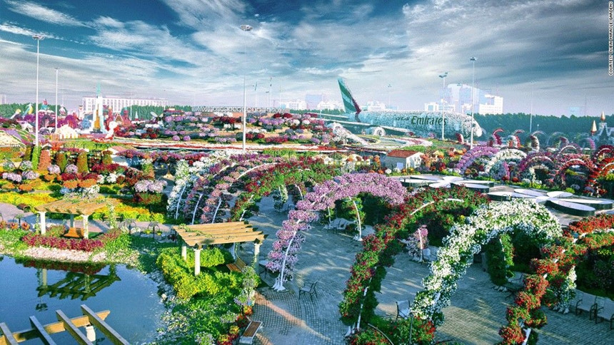 65[-]triệu[-]bông[-]hoa[-]rực[-]rỡ[-]giữa[-]Dubai[-]khô[-]cằn